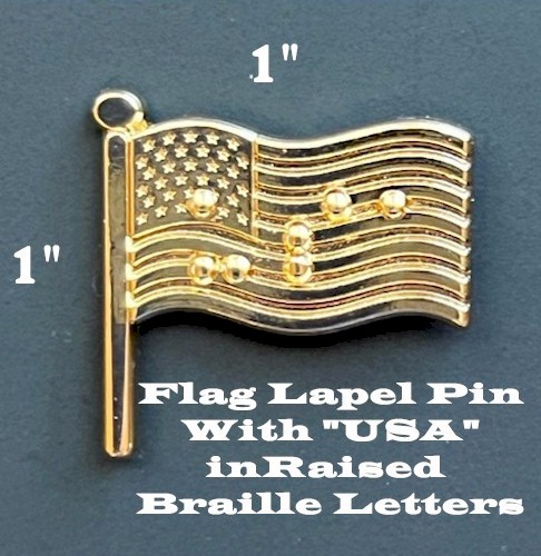 Image USA Raised Braille Flag Lapel Pin